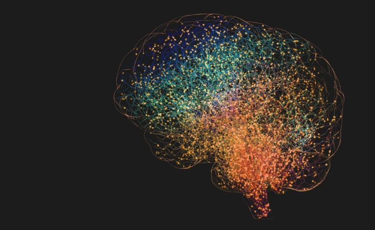 یافته‌های جدید: سلول‌های مغز حتی در سنین پیری نیز به رشد خود ادامه می‌دهند!