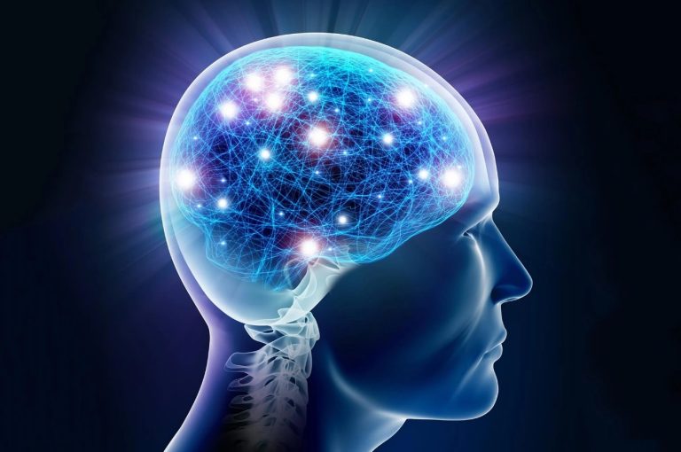 آیا هوش حاصل عوامل ژنتیکی است؟!