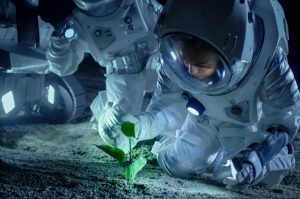 دانشمندان از "جادوی" خاک ماه در مطالعه بقا در فضا شگفتزده شدند!