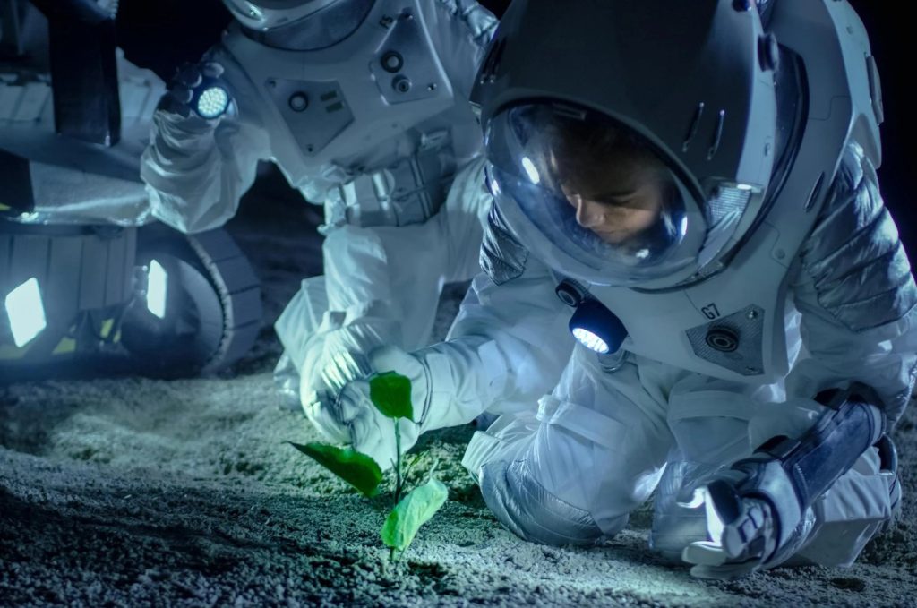 دانشمندان از "جادوی" خاک ماه در مطالعه بقا در فضا شگفت‌زده شدند!