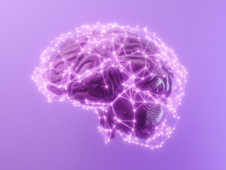 کشف "دکمه ریست حافظه" در مغز انسان!