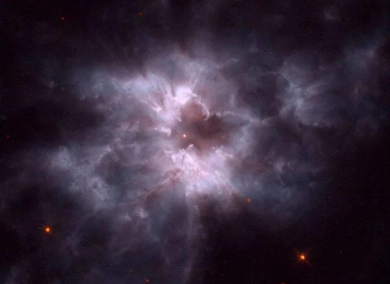 مرگ خورشید؛ آیا جهان‌های بیگانه می‌توانند در اطراف ستاره‌های مرده شکوفا شوند؟!