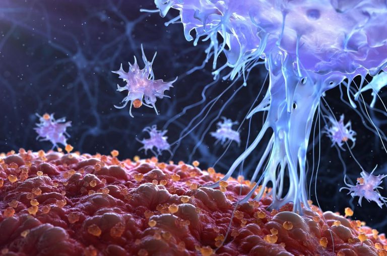 راهکار جدید دانشمندان برای ترمیم سریع‌تر بافت‌ها، برنامه‌ریزی مجدد سیستم ایمنی بدن با تحریک الکتریکی!