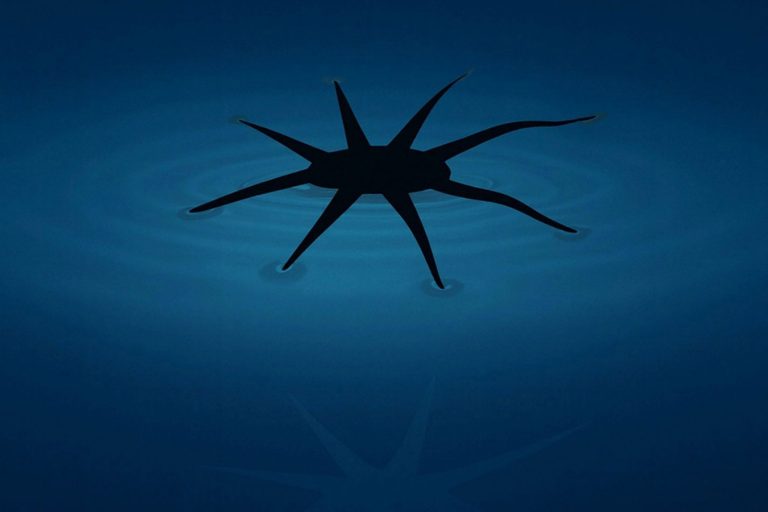 مهندسان رباتهای نرمی ساختهاند که میتوانند روی آب راه بروند!