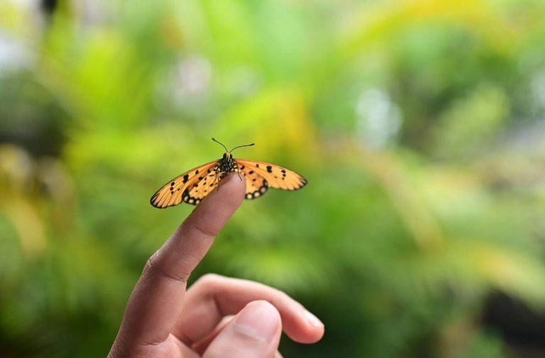 یک مطالعه جدید: انسان برای طبیعت تکامل یافته، نه شهرها!