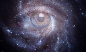 دانشمندان "هدف" تکاملی آگاهی را شناسایی کردند!