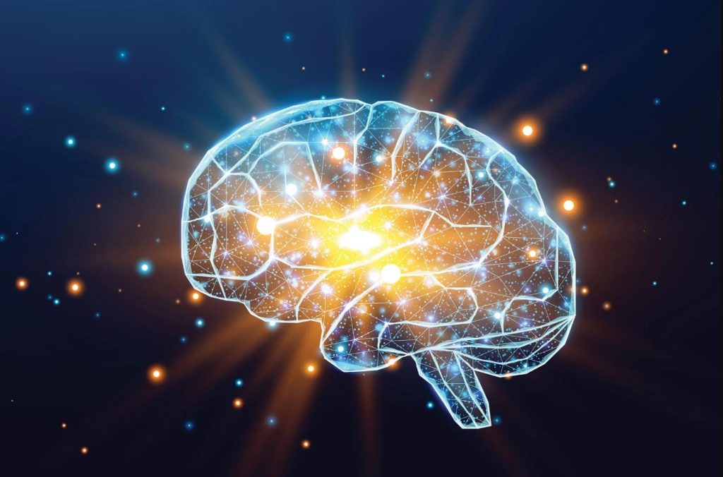 این مولکول طبیعی، قدرتی شگفتانگیز را علیه آلزایمر نشان میدهد!