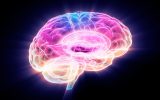 دانشمندان راهی برای کمک به بازیابی مغز از آلزایمر پیدا کردند!