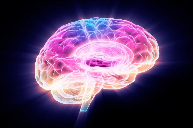 دانشمندان راهی برای کمک به بازیابی مغز از آلزایمر پیدا کردند!