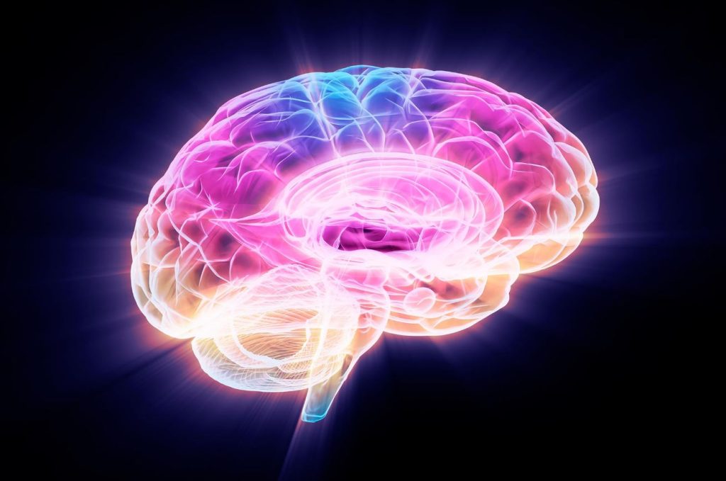 دانشمندان راهی برای کمک به بازیابی مغز از آلزایمر پیدا کردند!