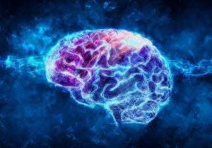 دانشمندان چگونگی تشکیل و ساختارپذیری مغز را کشف کردند!