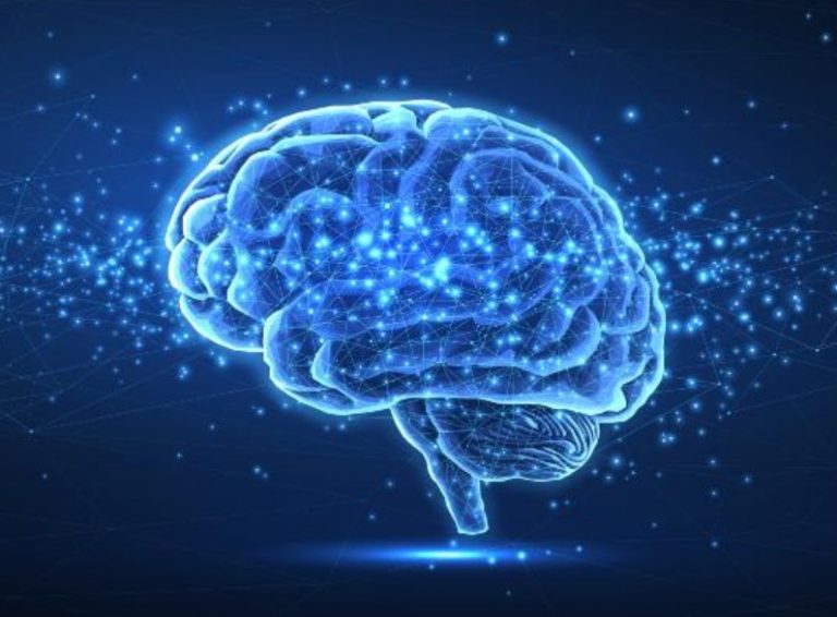 دانشمندان یک «مرکز پاکسازی» جدید در مغز انسان کشف کردند!