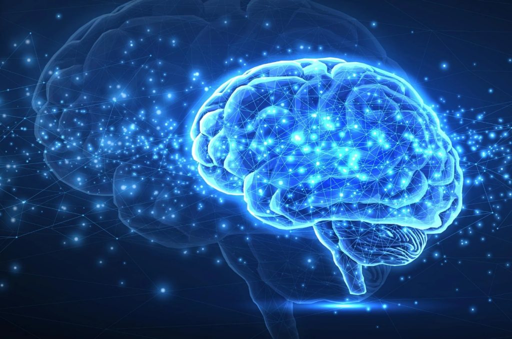 شگفتی دانشمندان از شباهت خیره‌کننده مغز به هوش مصنوعی