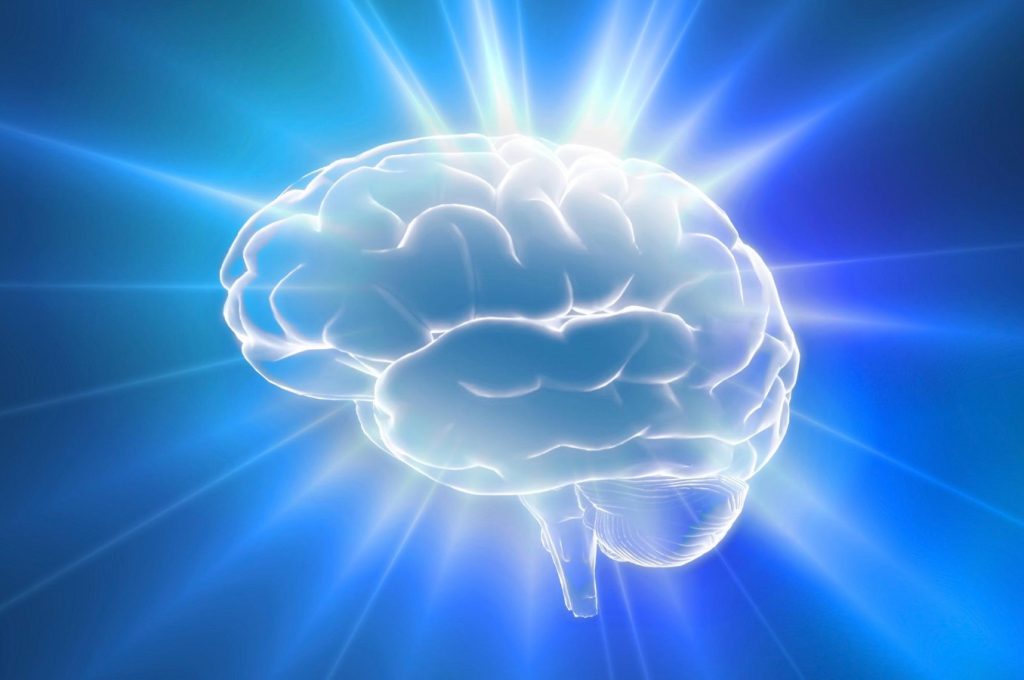 نوسانات روزانه مغز؛ عاملی که می‌تواند ۴۰ دقیقه از بازدهی شما را هدر دهد!