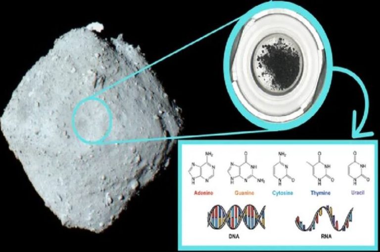 کشف تمام اجزاء کلیدی دی‌ان‌ای انسان در سیارکی دور