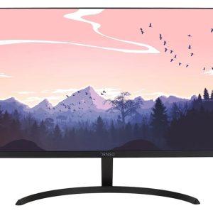 قیمت مانیتور رنسو 24 اینچ RM24PRIME