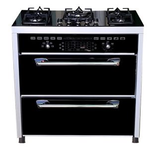 قیمت اجاق گاز دنپاسر DEN3K