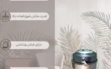 قیمت جاروبرقی تیوا 3200