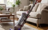 قیمت جاروبرقی دایسون Ball Animal