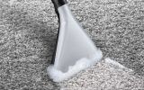 قیمت جارو برقی بوش BWD421PRO