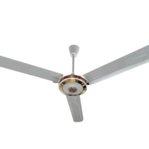 قیمت پنکه ارشیا CF-2231