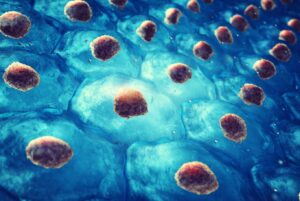 اروساینس: سلولهای بنیادی مهندسیشده دیابت نوع ۱ را در موشها معکوس کردند!
