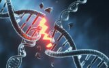 اروساینس: ساخت مغز مستلزم میلیون‌ها شکستگی خطرناک در DNA است!