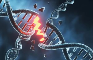 اروساینس: ساخت مغز مستلزم میلیون‌ها شکستگی خطرناک در DNA است!