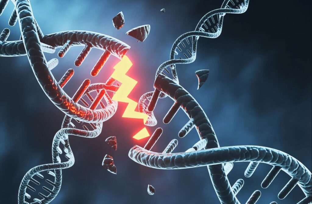 اروساینس: ساخت مغز مستلزم میلیون‌ها شکستگی خطرناک در DNA است!