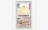 قیمت سکه گرمی طلا 18 عیار گیوان مدل PA800GIV