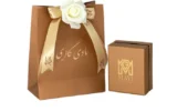 قیمت گردنبند طلا 18 عیار زنانه با طرح ونکلیف ماوی گالری مدل مینی 5