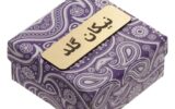 قیمت گردنبند طلا 18 عیار زنانه با زنجیر طرح کارتیه نیکان گلد مدل NK256