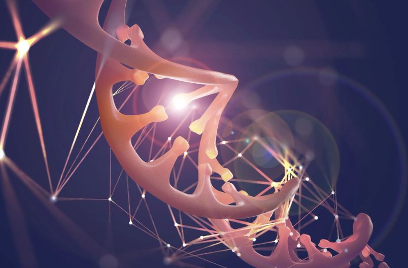 اروساینس: هوش مصنوعی راز پیری را در ساختار سه‌بعدی DNA آشکار می‌کند