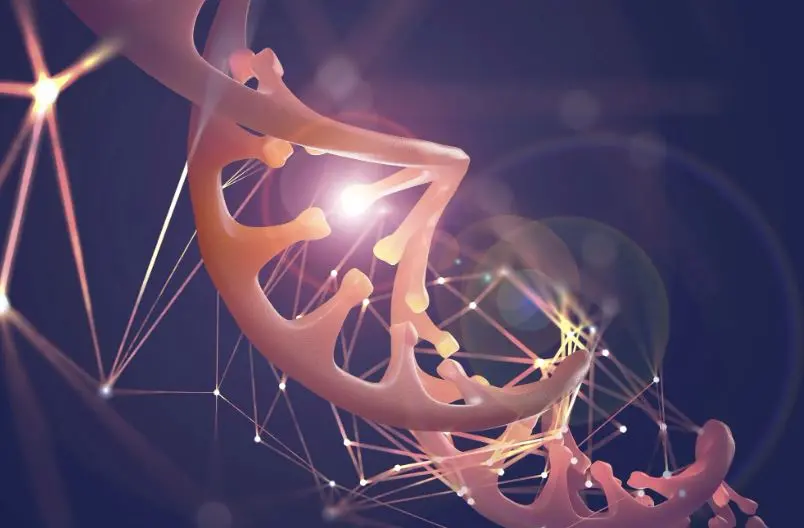 اروساینس: هوش مصنوعی راز پیری را در ساختار سه‌بعدی DNA آشکار می‌کند