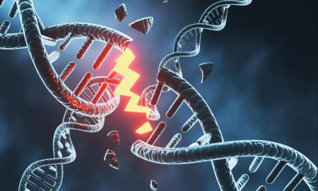 اروساینس: ساخت مغز مستلزم میلیون‌ها شکستگی خطرناک در DNA است!