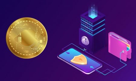 امن ترین کیف پول ارز دیجیتال - بررسی امن ترین ولت ها نرم افزاری و سخت افزاری