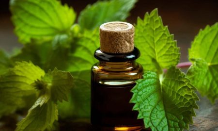 رایحه ای از تاریخ: یک عطر رومی در مقبره سویل کشف شد