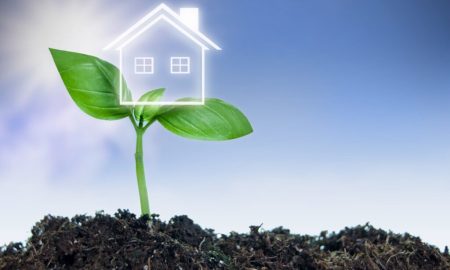 راهکارهای صرفه‌جویی در خرید نهال میوه