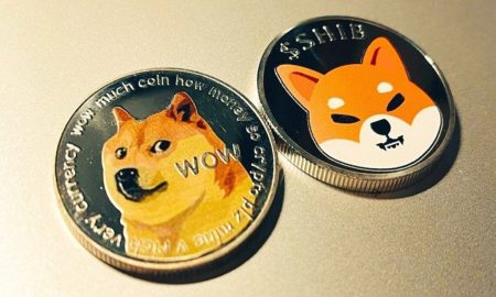 مقایسه شیبا اینو با دوج کوین: کدام یک سرمایه گذاری بهتری است؟