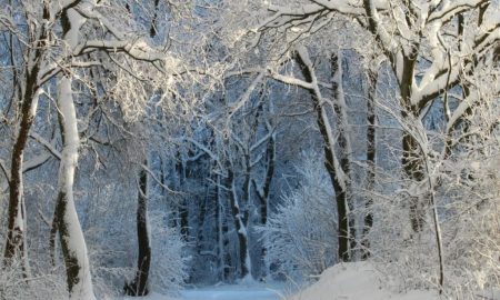 اجاره ویلا در زمستان: تجربه‌ای متفاوت از تعطیلات