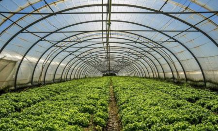 بهترین نایلون گلخانه برای فصل سرما