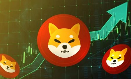 پیش‌بینی قیمت شیبا اینو در سال‌های ۲۰۲۶ تا ۲۰۳۰