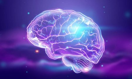 کشف جدید درباره منطقه باستانی مغز؛ مهمتر از آنچه قبلا تصور میشد!