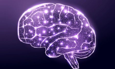 قشر مغز انسان چگونه آینده را پیش‌بینی می‌کند؟!