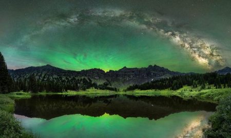 برندگان جوایز عکاسی طبیعت جهان در سال 2025 مشخص شدند [تصاویر]