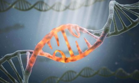 ترمیم آسیب DNA؛ دانشمندان مزایای جدید مکمل ملاتونین را شناسایی کردند!