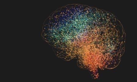 یافته‌های جدید: سلول‌های مغز حتی در سنین پیری نیز به رشد خود ادامه می‌دهند!