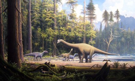 فسیل‌های آرکوسور تریاس که در دهه 1960 حفاری شده‌اند، بخشی گمشده را به تکامل کروکودیل‌ها اضافه کردند