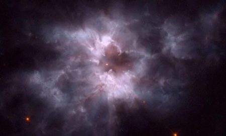 مرگ خورشید؛ آیا جهان‌های بیگانه می‌توانند در اطراف ستاره‌های مرده شکوفا شوند؟!