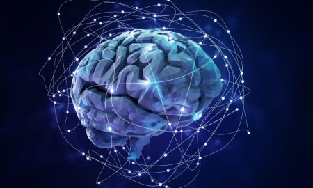 یک مطالعه جدید: سیگنال‌های مغزی فقط در صورتی اهمیت دارند که به موقع برسند!